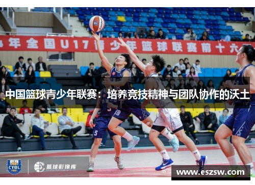 中国篮球青少年联赛：培养竞技精神与团队协作的沃土